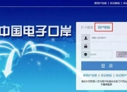 电子口岸首页登录入口