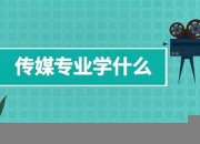 传媒专业学什么要求(传媒专业要学什么特长)