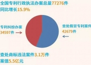 知识产权侵权案例电子商务(电商领域知识产权侵权案件)