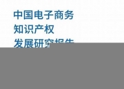 电子商务知识产权状况分析论文(电子商务知识产权领域发展现状)