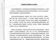 品牌策划与推广实训实训报告(品牌策划与管理实训报告)