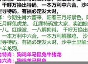 澳门马会传真内部正版资料查询2023(澳门最精准免费资料大全旅游团)