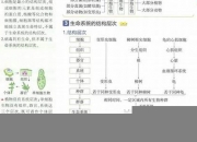 高中生物知识清单电子版(高中生物知识清单电子版下载)