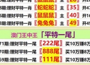 王中王资料大全枓大全93(王中王资料大全枓大全正使用心得)